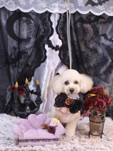 20231024ランチちゃん